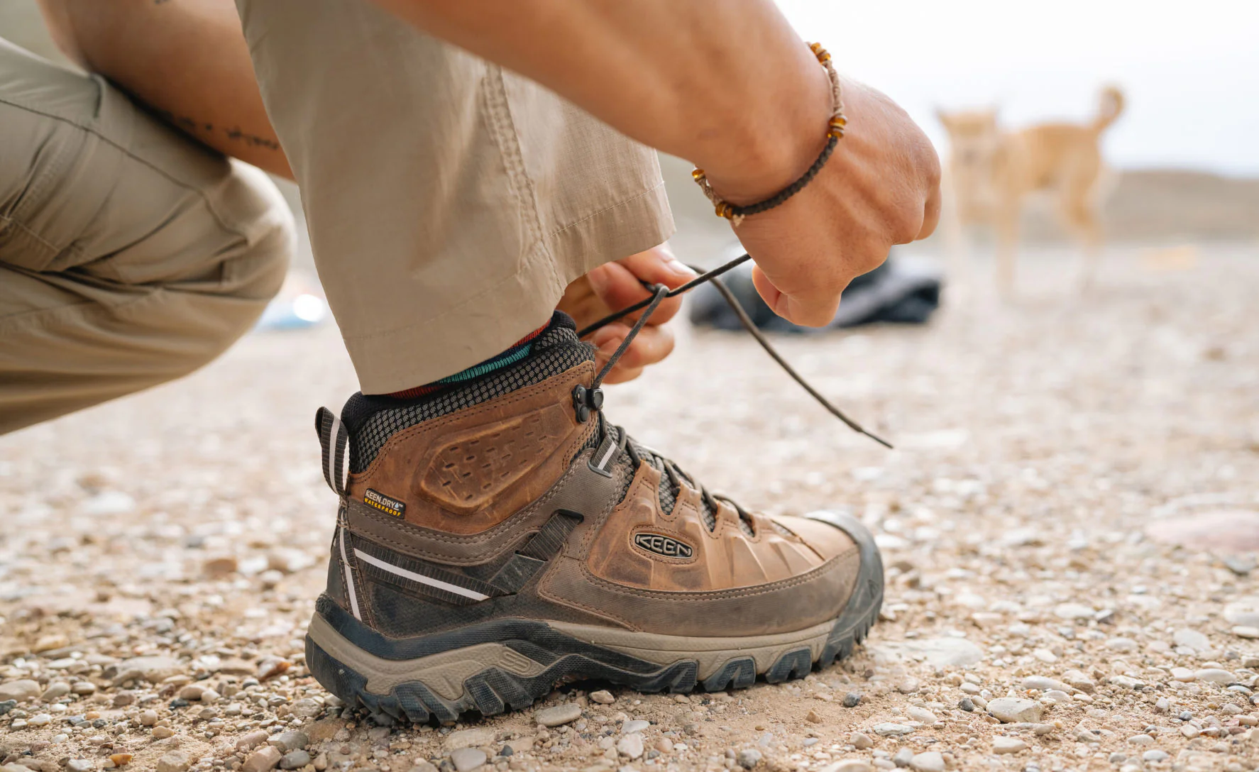 Men's Targhee III Waterproof Mid Wide | Black Olive/Golden Brown - Image 6