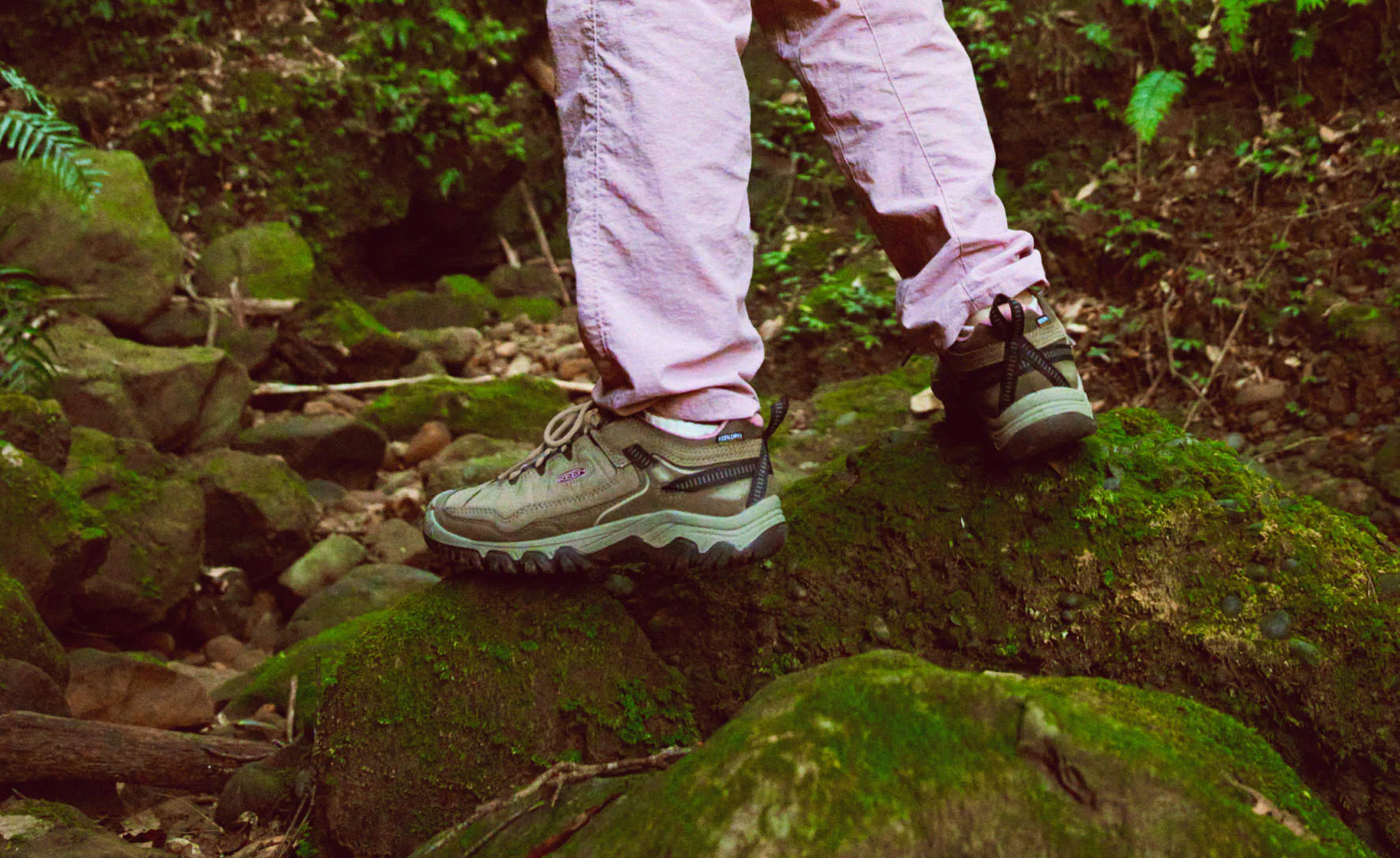 Women's Targhee IV Waterproof Hiking Shoe | Brindle/Nostalgia Rose - Image 7